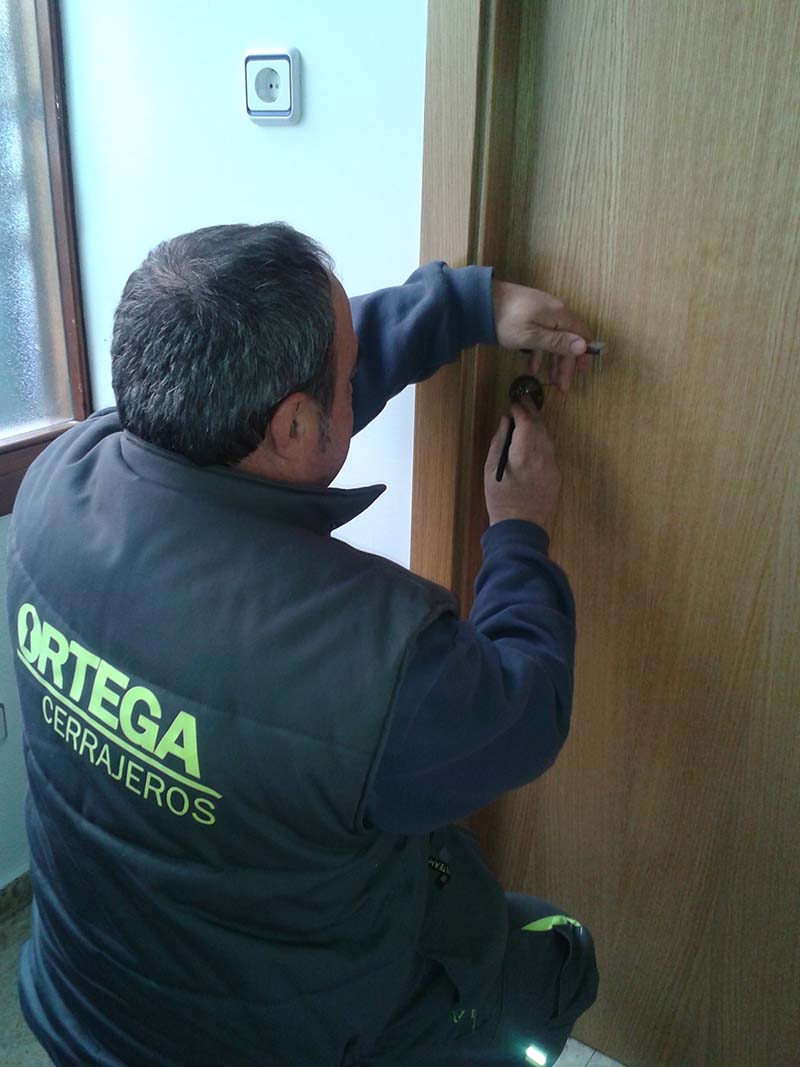 Trabajo en comunidad